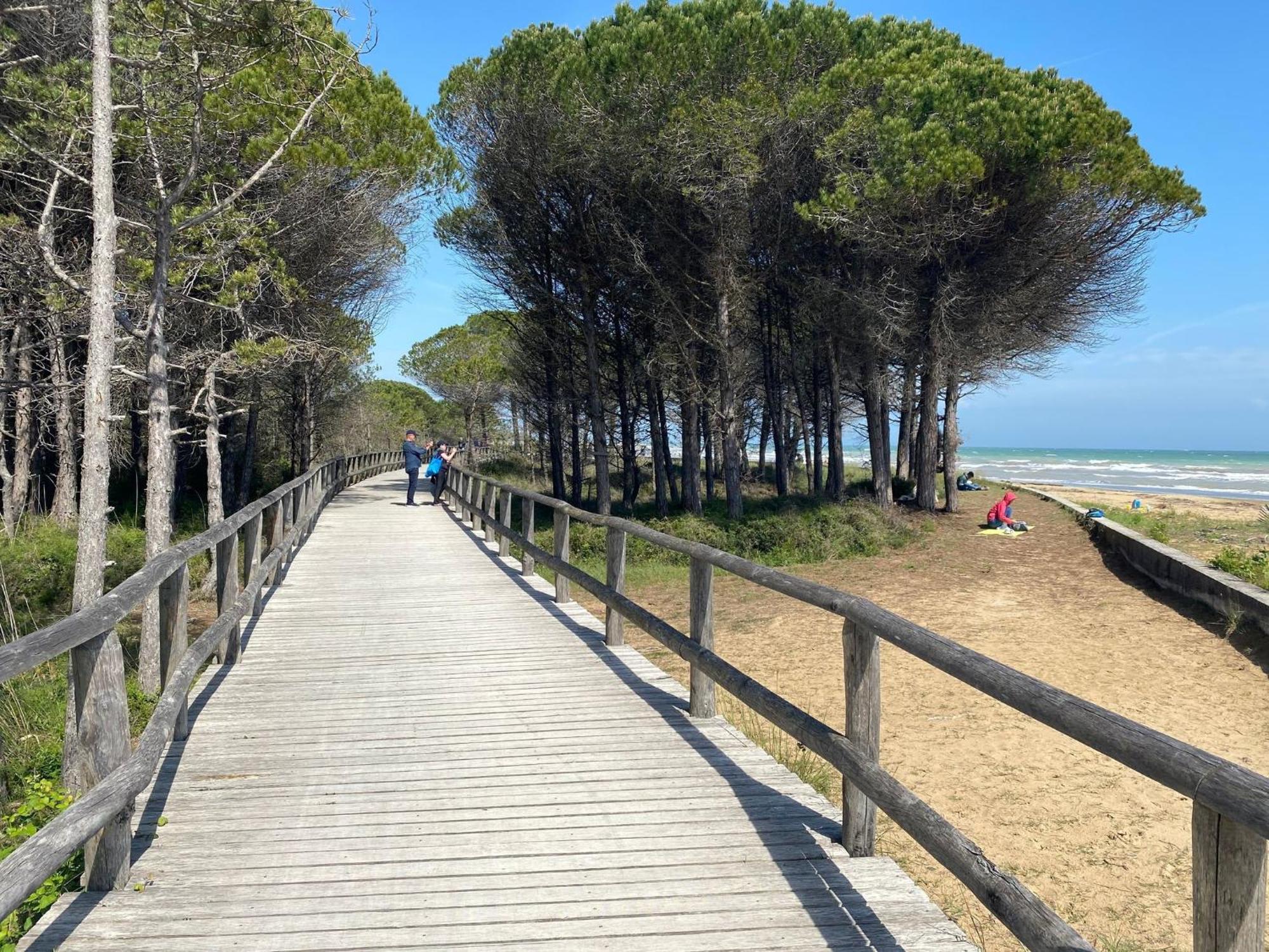 Apartment Beautiful Flat In With Pool - Beahost Bibione